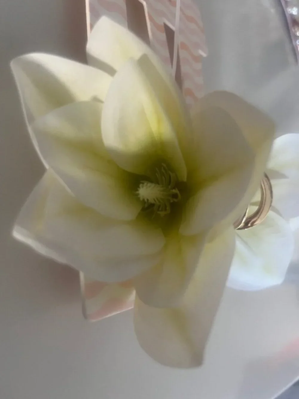 NWT piper-k Gold Clip with Pale Yellow Floral Accent Hair Accessory